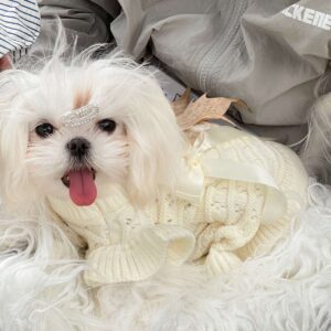 Elegant Princess Gown tailored for Small Breeds such as Maltese, providing warmth for Cats while minimizing shedding